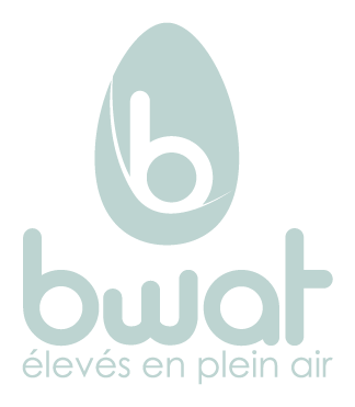 Bwat